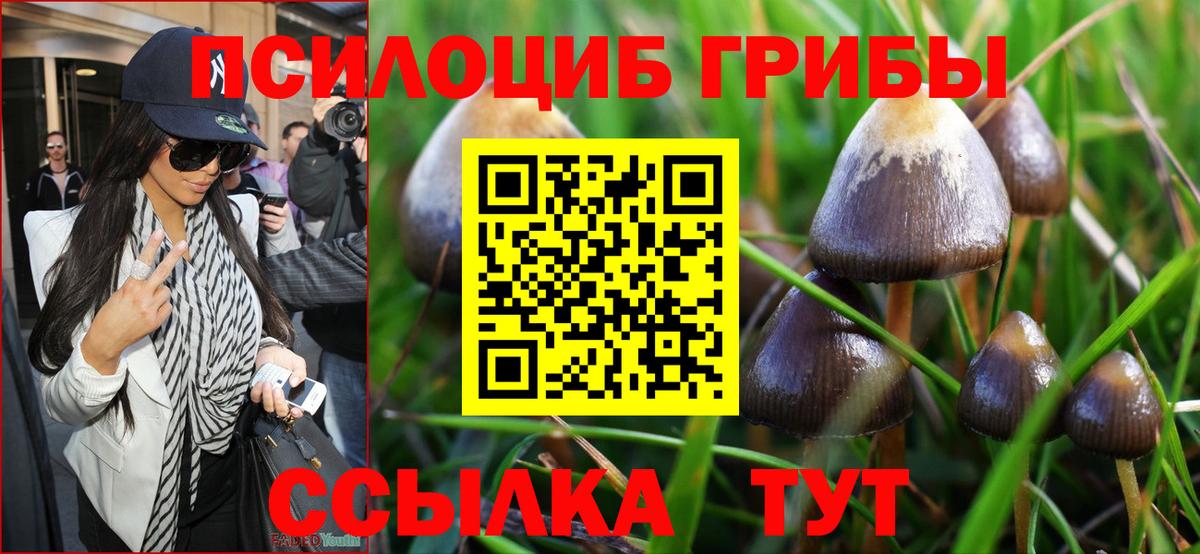 Вязьма  Галлюциногенные грибы Psilocybe  Вход с VPN  Псилоцибиновые грибы Psilocybine cubensis 