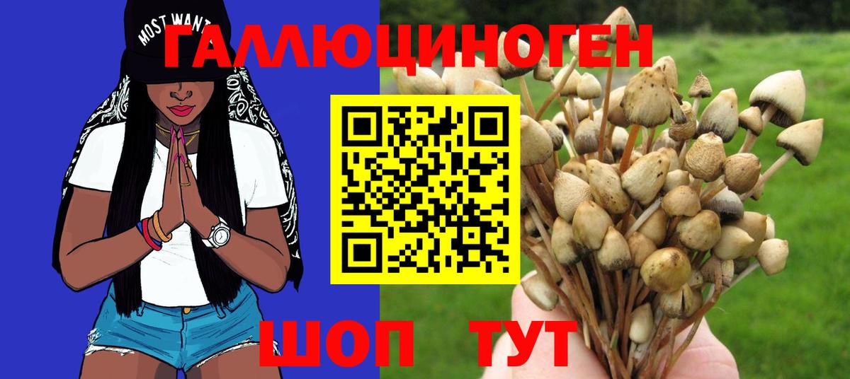 Галлюциногенные грибы мухоморы Вязьма